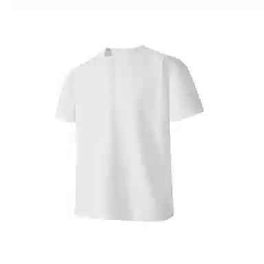 PAINT STAIN Polo