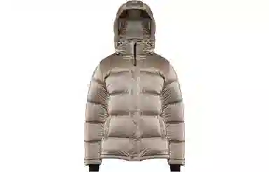 ARITZIA Super Puff Liquid Shine