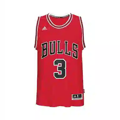 adidas C. Bulls Swngm Intl Ret Jsy Wade NBA