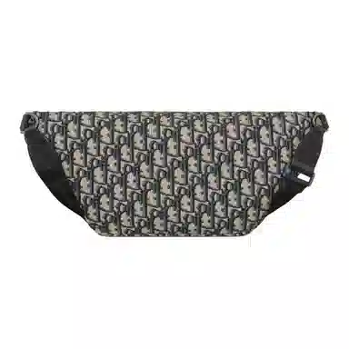 Dior Saddle Waist Bag