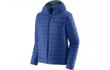 patagonia Down Sweater Logo