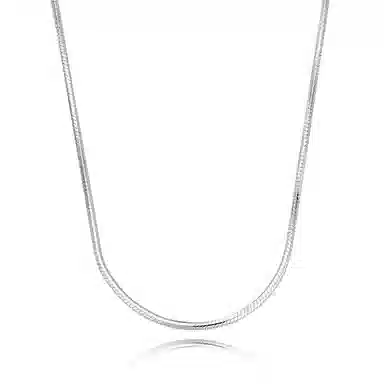 IDEAGEMER Snake Bone Chain Necklace