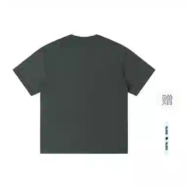 pallsupol T