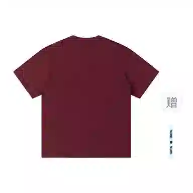 pallsupol T