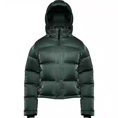 ARITZIA Super Puff Liquid Shine Shorty