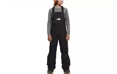 THE NORTH FACE Freedom Insulated Bibs