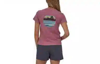 patagonia T