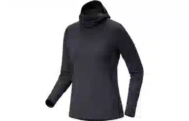Arcteryx Rho Hoody
