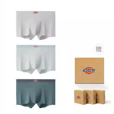 Dickies 3