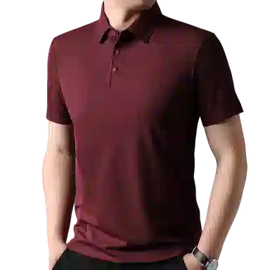 PIERRE CARDIN tPolo