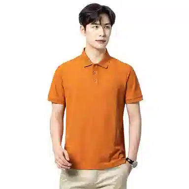 PIERRE CARDIN Polo