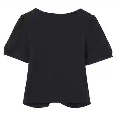WESTLINK T