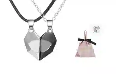 Ruomi Magnetic Attraction Necklace