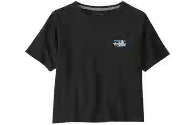 patagonia T