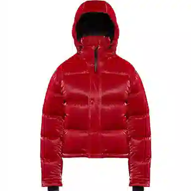 ARITZIA Super Puff Liquid Shine Shorty