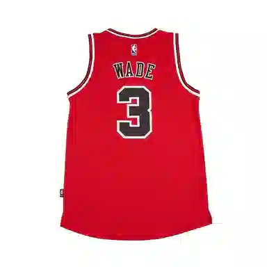 adidas C. Bulls Swngm Intl Ret Jsy Wade NBA