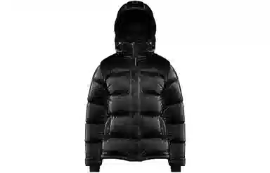 ARITZIA Super Puff Liquid Shine