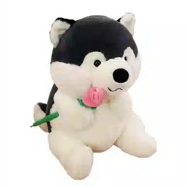 lionf 40cm