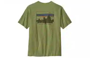 patagonia Men's '73 Skyline Organic T-Shirt LogoT