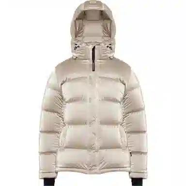 ARITZIA Super Puff Liquid Shine