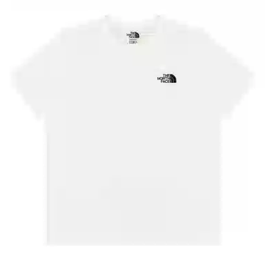 THE NORTH FACE AT