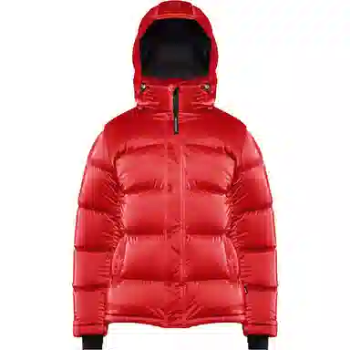 ARITZIA Super Puff Liquid Shine