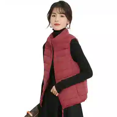 鸭鸭 纯色拉链立领羽绒马甲 女款