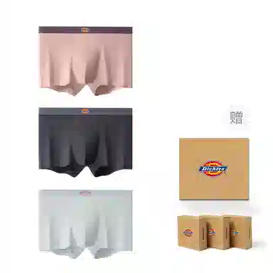 Dickies 3