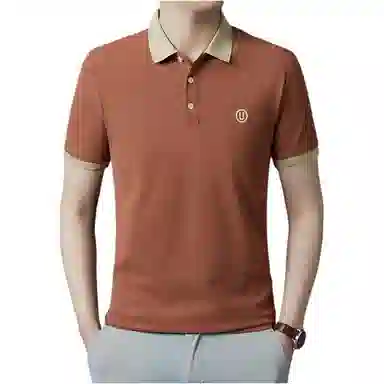 PIERRE CARDIN Polo