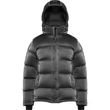 ARITZIA Super Puff Liquid Shine