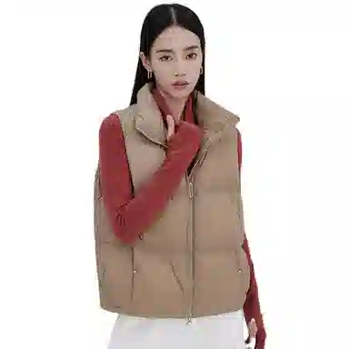 鸭鸭 百搭休闲纯色立领立领短款羽绒服 女款