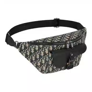 Dior Saddle Waist Bag