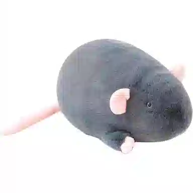 18cm35cm65cm