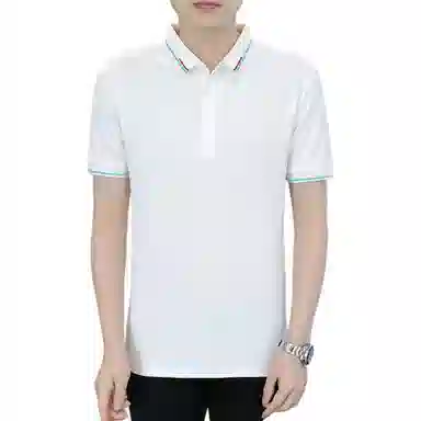 PIERRE CARDIN Polo