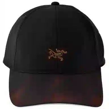 Arcteryx Logo