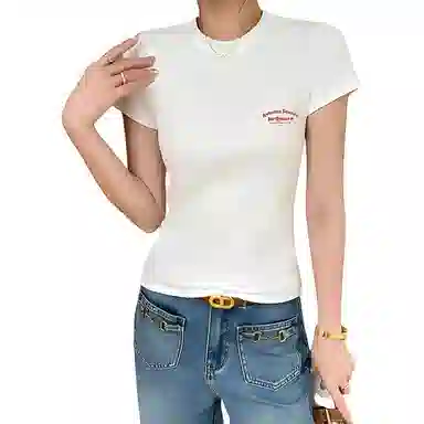 AWAO Logo T