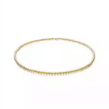 尚先生 浅金色小米粒锁骨链高级感轻奢小众简约颈链气质优雅高亮 铜 项链 女款