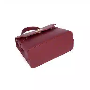 红蜻蜓 气质高级中年妈妈款 牛头层皮革 手提包 小号 女款 多色