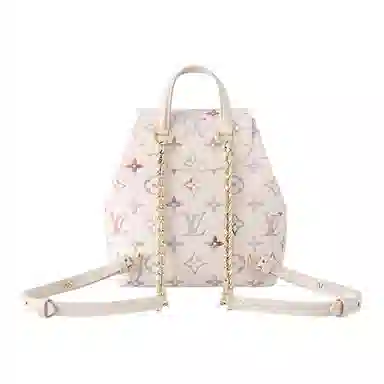 LOUIS VUITTON BACKUP