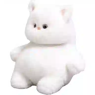 25cm