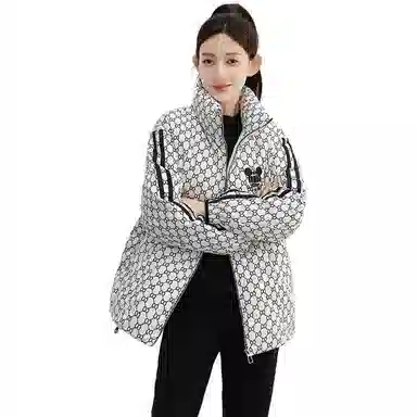 鸭鸭 花色立领合身羽绒服 女款