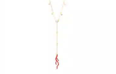 Swarovski Shell Y