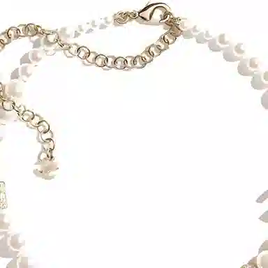 CHANEL 25P