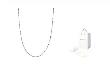 RINGLOVE S925 Necklace