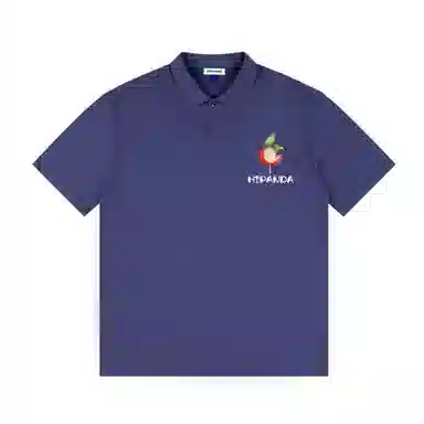 HIPANDA logoPolo