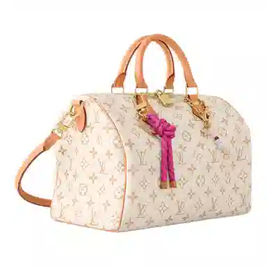 LOUIS VUITTON SPEEDY SOFT 30 LUCKY
