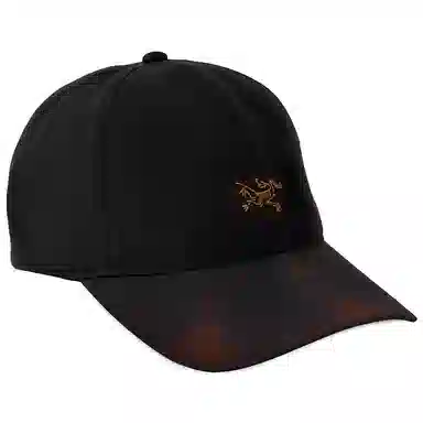 Arcteryx Logo