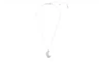 Swarovski Luna Necklace