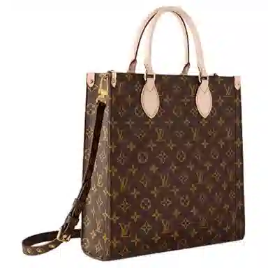 LOUIS VUITTON Sac Plat PM