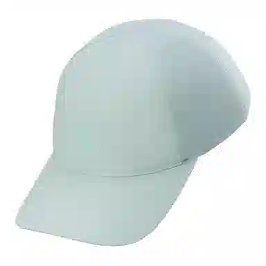 Arcteryx Bird Word Cap